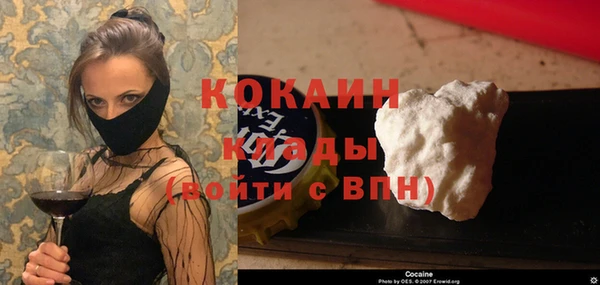 тгк Алексин
