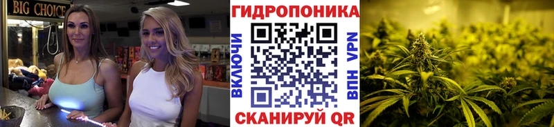 Шишки марихуана сатива  купить наркотики цена  Дегтярск 
